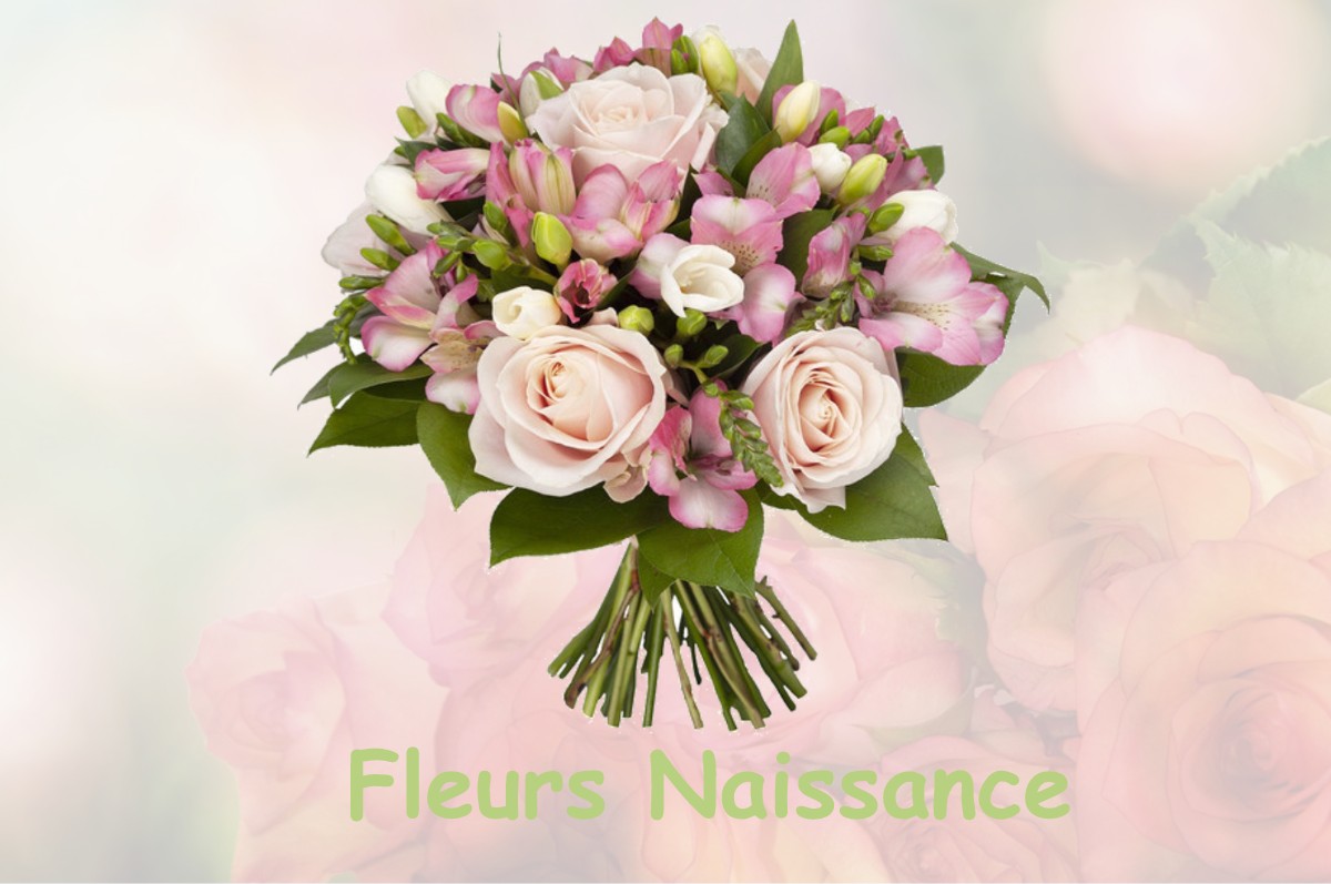 fleurs naissance MOULISMES