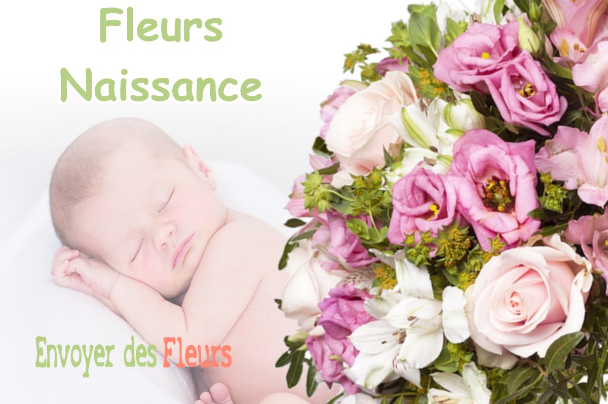 lIVRAISON FLEURS NAISSANCE à MOULISMES